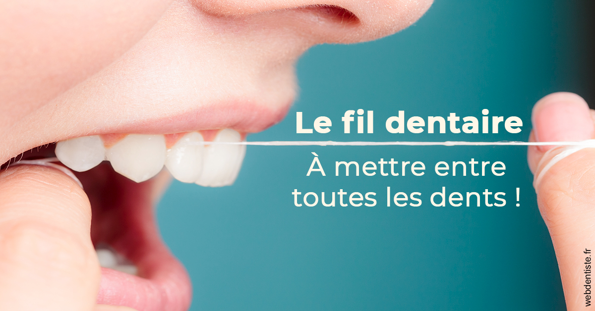 https://www.dr-bonan-stephanie.fr/Le fil dentaire 2