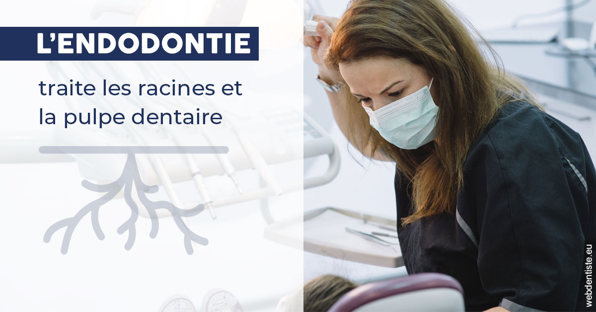 https://www.dr-bonan-stephanie.fr/L'endodontie 1