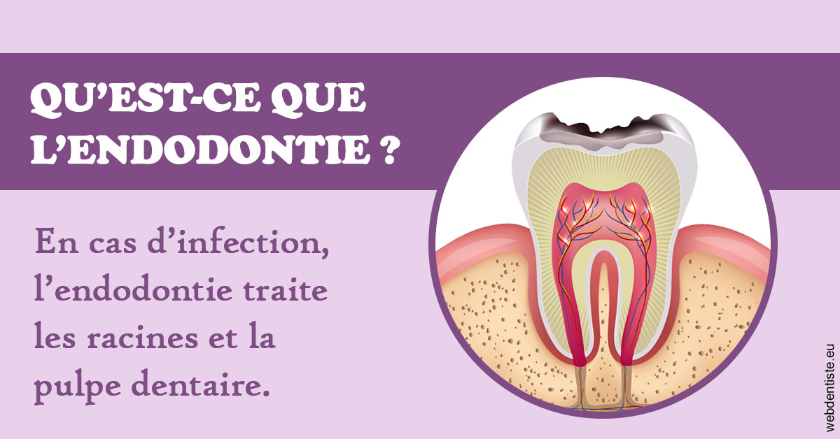 https://www.dr-bonan-stephanie.fr/2024 T1 - Endodontie 02