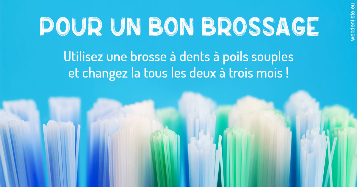 https://www.dr-bonan-stephanie.fr/Pour un bon brossage 1