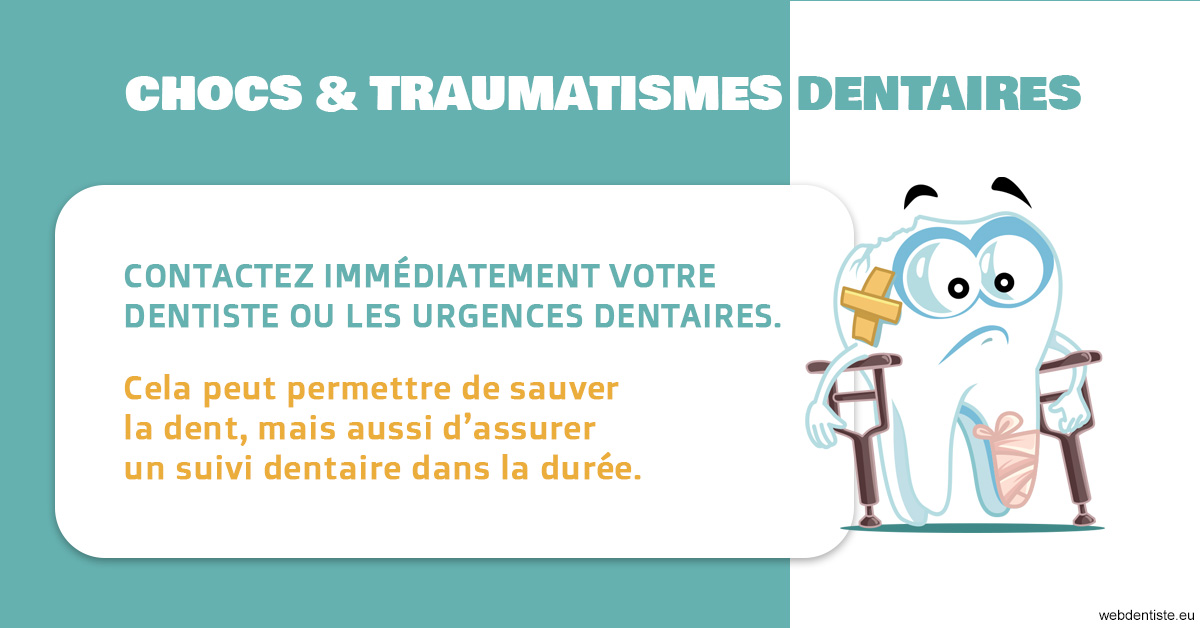 https://www.dr-bonan-stephanie.fr/2023 T4 - Chocs et traumatismes dentaires 02