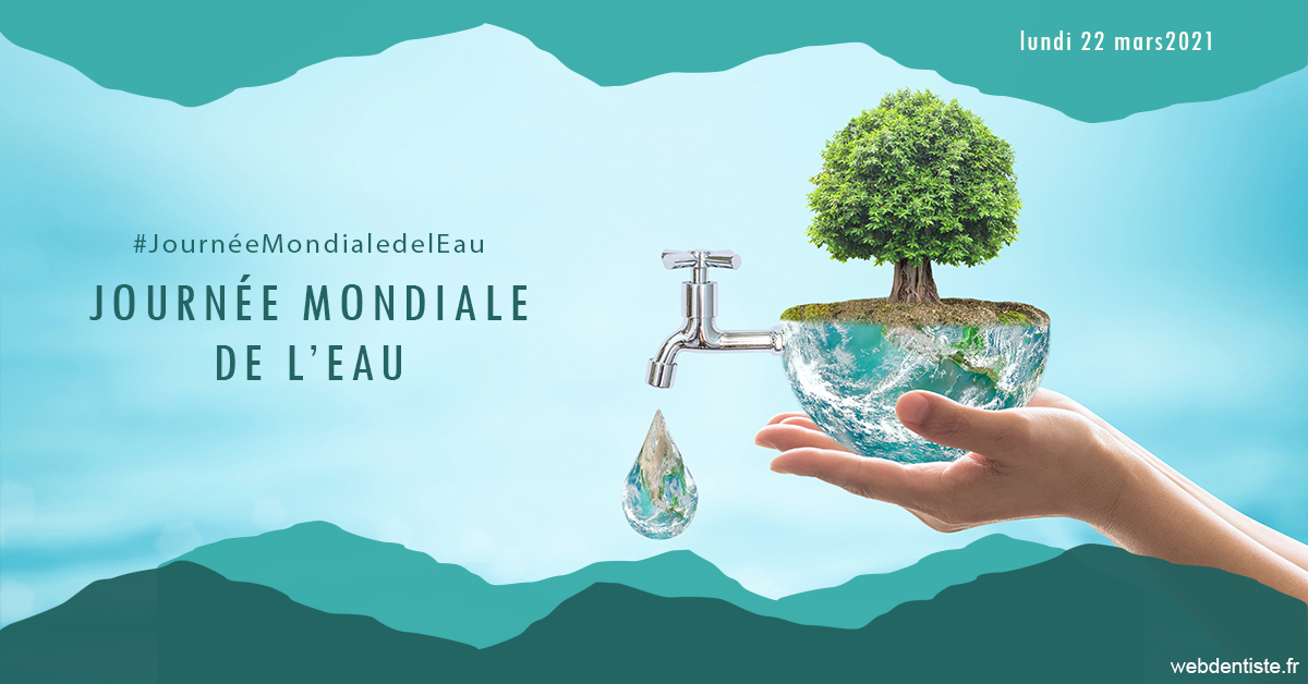 https://www.dr-bonan-stephanie.fr/Journée de l'eau 1
