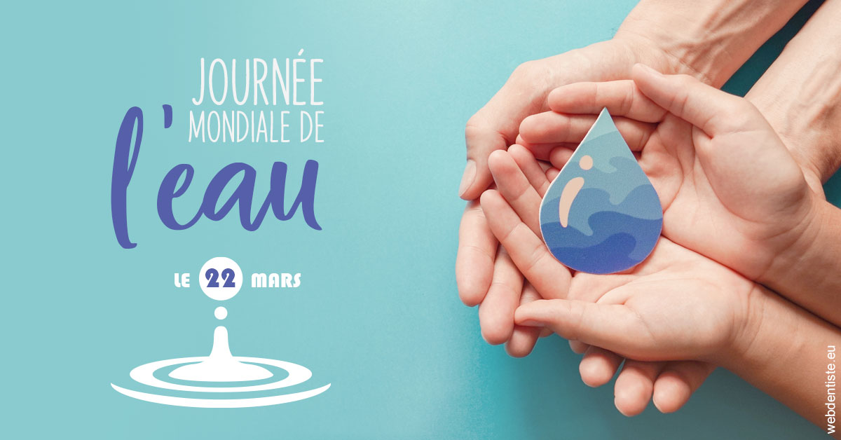 https://www.dr-bonan-stephanie.fr/La journée de l'eau 1