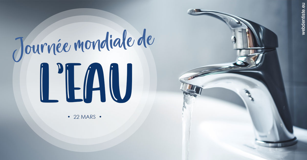 https://www.dr-bonan-stephanie.fr/La journée de l'eau 2
