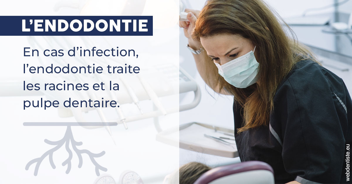 https://www.dr-bonan-stephanie.fr/L'endodontie 1