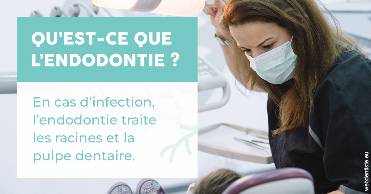 https://www.dr-bonan-stephanie.fr/2024 T1 - Endodontie 01