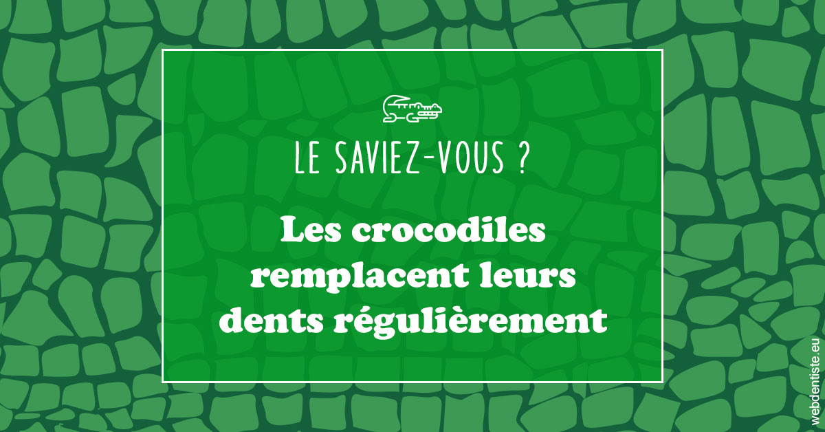 https://www.dr-bonan-stephanie.fr/Crocodiles 1